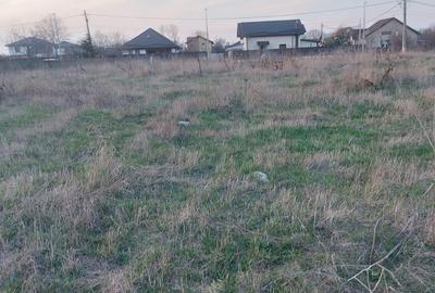 Teren intravilan Buftea - 3