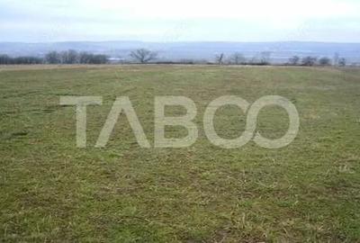 Teren de 3000 mp, în Paltin - 2