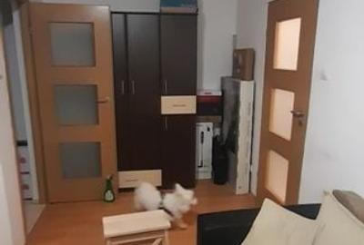 Garsoaniera | Dr Taberei | Compozitorilor | 1 Mai | Hanul - 2