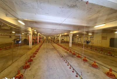 Teren de 35000 mp, în Funcționarilor - 1