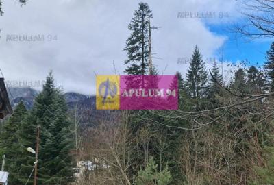 Vilă de vânzare in Sinaia - Zona Cumpătu - 8