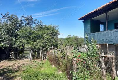 Casa de vanzare cu teren - 2