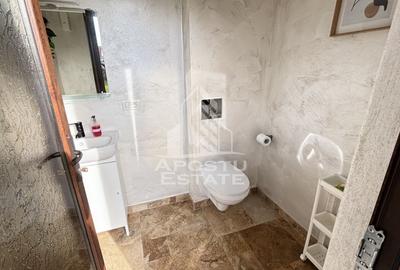 Casa deosebita cu 5 camere in Dinias - 12