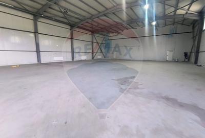 Spațiu industrial, de 800 mp, în Central - 2
