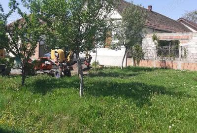 Teren de 300 mp, în Frumușeni - 4