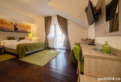 Spațiu comercial, de 350 mp, în Sighișoara - 6