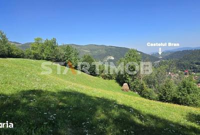 Teren de 3296 mp, în Bran - 10