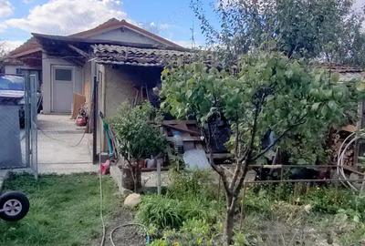 Casa 15 km de Timi?oara de vanzare - 2