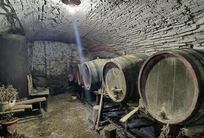 Casă cu 3 camere cu Teren 1418 Mp în Brateiu - 2