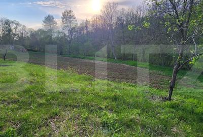 Teren 6650 mp, cu casa nefinalizata de 111 mp, in Nisipoasa. - 3