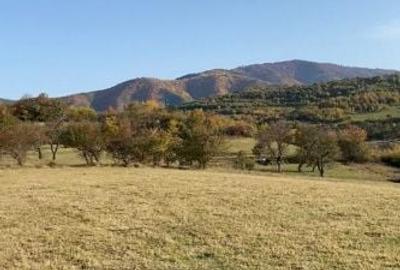 Teren de 972 mp, în Gura Râului - 8