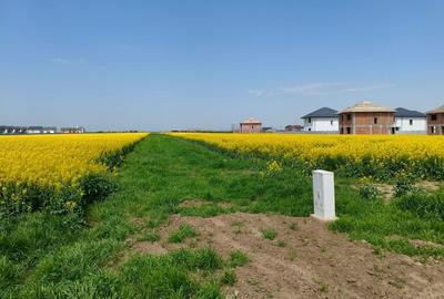 Teren 469 mp Vidra - utilitati la lot, plata in rate - 5