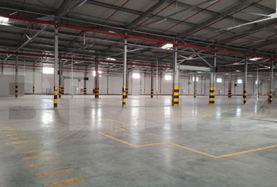 Hala clasa A, 10 incaperi, 10.766 mp, ISU, langa nod de auto - 10