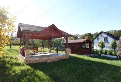 Casa cu 6 camere, de vanzare, in Baia Sprie - 7