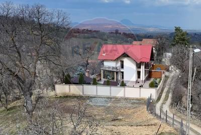 Casă cu 6 camere cu Teren 10331 Mp în Sohodol - 37