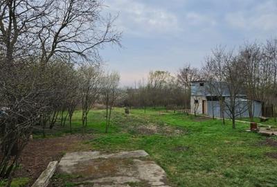 Casa de vacanta Bucsani, Obedeni - 8