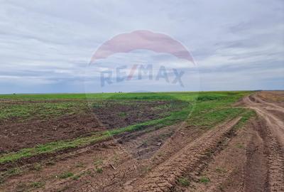 Teren 56,700mp Mischii / Strada Eroilor - 14