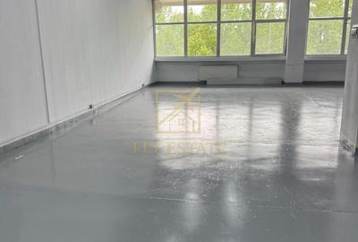 Spațiu industrial, de 180 mp, în Theodor Pallady - 4
