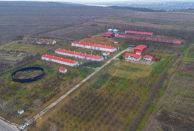 Teren Construcții intravilan de 43708 mp, în Scobâlțeni - 6