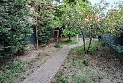 Inchiriere Vila individuala Berceni-Giurgiului - 41