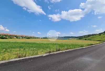 Teren INDUSTRIAL | 10.600 mp | Front 62 ml | PUZ Finalizat - Baciu! - 2