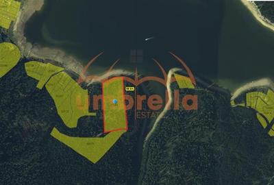 Teren de vanzare 29.131m²/35€ m² lac Belis, la Paraul Butoaie, Giurcuta - 5