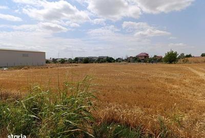 Teren de 1040 mp, în Cornetu - 5
