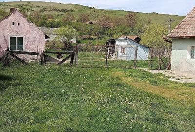 Casă cu 4 camere cu Teren 100 Mp în Cenade - 4