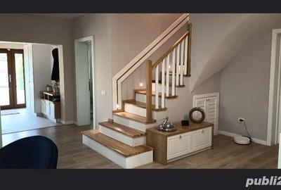 Mosie de vanzare in Plesoiu, Olt, direct de la proprietar - 1