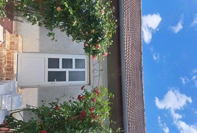 Casă cu 6 camere în Parța - 5