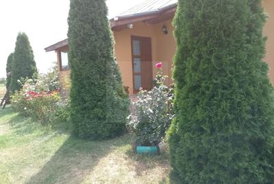 Casă individuală cu 3 camere cu Canalizare în Hănțești - 3