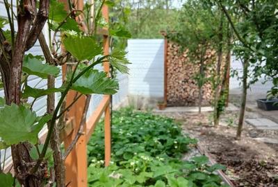 Casă cu 2 camere cu Teren 220 Mp în Central - 8