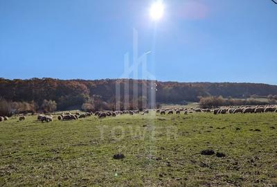 Teren extravilan in Tropinii Noi (Rasinari)-2592 mp - 5