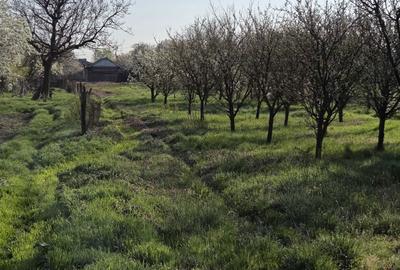 Casă cu 3 camere în Tărtășești - 2