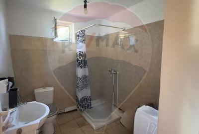 Casă cu 5 camere cu Teren 504 Mp în Romanești - 6