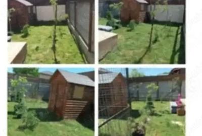 Casă cu Teren 200 Mp în Ilfoveni - 2