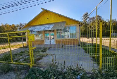 Spațiu Industrial și Comercial de Închiriat - Bascov - DN7C - 13