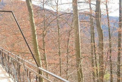 Sinaia-De vanzare pensiune cu 18 camere functionala - 1