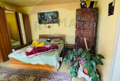 Casa / Vila cu 3 camere de vanzare Casa / Vila cu 3 camere de vanzare - 7