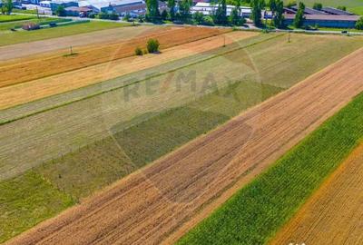 Teren de 7000 mp, în Teliu - 2