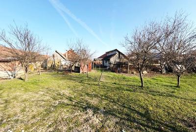 Casă cu 4 camere cu Teren 1669 Mp în Livada - 3