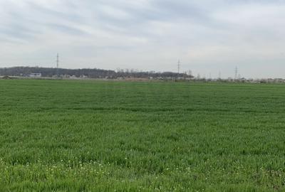 Teren Construcții intravilan de 16573 mp, în Central - 5