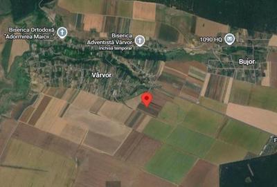 Teren de 3000 mp, în Vârvor - 1