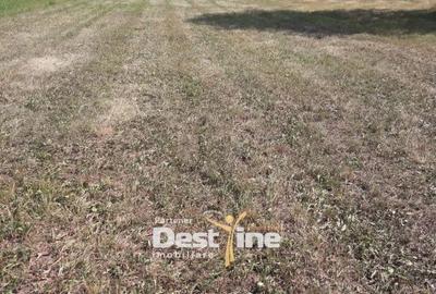 Spațiu comercial, în Pângărați - 4