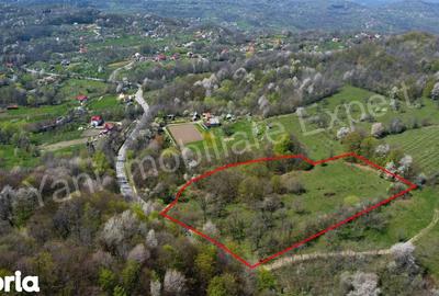 Teren de 15856 mp, în Valea Iașului - 3