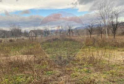 Comision 0! Casa din inima Subcarpaților — comuna Cislau, teren 5000mp - 14