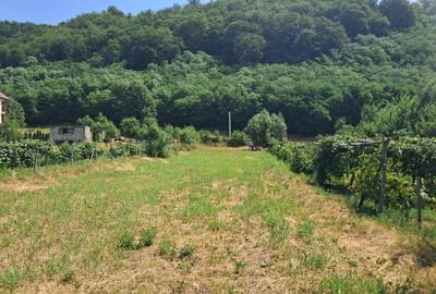 TEREN INTRAVILAN POLOVRAGI - 4