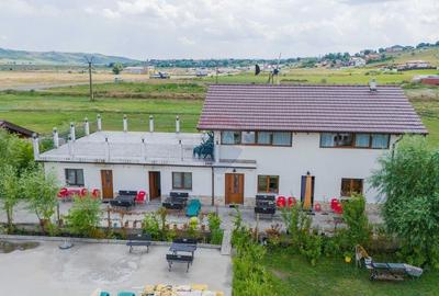 Complex cu Piscina/Cazare de Vanzare, 10.777mp Teren - DN24, Vaslui - 4