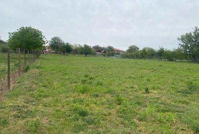 Teren de 4596 mp, în Cetariu - 1