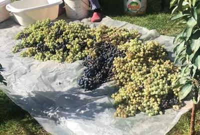 Casă cu 5 camere cu Teren 357 Mp în Central - 5